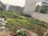 Lô Đất Quá Đẹp Trục Chính Kinh Doanh Buốn Bán Phát Triển Mạnh 115M Tại Đông Lai-Quang Tiến .