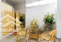 Q11 Hẻm 8M Không Lộ Giới Chỉ 14.65Tỷ Ngang 5.3M Nở Hậu Tài Lộc, Kinh Doanh Đỉnh, Tiện Làm Spa