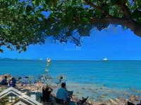 Bán Mặt Tiền Tuyệt Đẹp -Mặt Tiềntrần Phú. P5. Tp Vũng Tàu - View Trực Diện Biển ( Không Chắn View)