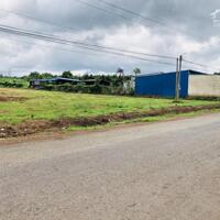 KẸT TIỀN CẦN BÁN NHANH 1200M2 ĐẤT Ở NGAY KCN CÔNG NHÂN ĐÔNG, SÁT CHỢ. GIÁ 160 TRIỆU