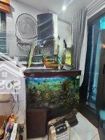 Bán Nhà 5T 34M2 3N ,Lô Góc Ngõ Thẳng 15M Ra Phố Thái Thịnh View Cc Cực Thoáng.