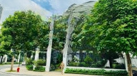 Dinh Thự Đơn Lập Góc - 270M2, 191 Tỷ, Mặt Hồ Thiên Nga Tại Vinhomes Cổ Loa. Liên Hệ: 0376196658
