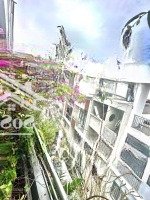 Nhà Phố Hẻm Xe Hơi 80M2 Ngay Trung Tâm Quận Bình Thạnh Giảm 1 Tỷ Còn Thương Lượng