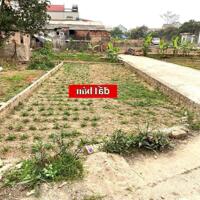 Bán đất Cộng Hòa, Phù Linh, Sóc Sơn 59m2, lô góc ô tô ngủ tại đất nhỉnh 1,3 tỷ