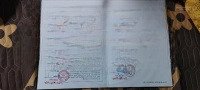 Bán Gấp 48M2 Tân Thành- Dương Kinh, Đường Nhựa 7M, Khu Dân Cư Đông Đúc.