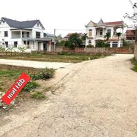 Bán đất Cộng Hòa, Phù Linh, Sóc Sơn 59m2, lô góc ô tô ngủ tại đất nhỉnh 1,3 tỷ