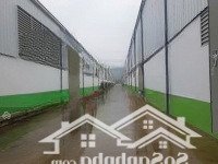 X1324. Cho Thuê Kho Xưởng Kcn Thạch Quản Thanh Hóa 5.000M2 Có Tba 650Kva, Pccc Tự Động 75.9K/M2/Th
