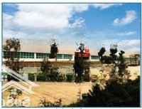 X1324. Cho Thuê Kho Xưởng Kcn Thạch Quản Thanh Hóa 5.000M2 Có Tba 650Kva, Pccc Tự Động 75.9K/M2/Th