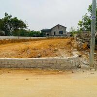 355M2 CỔ ĐÔNG; GIÁ CHỈ HƠN 10TR/M2