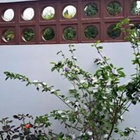 SIÊU PHẨM VILLA LÊ NGÔ CÁT GIÁ 3 TỶ 7XX