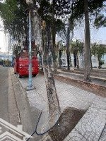 Bán Đất 10 Tỷ 247M Thổ Cư Xe 7 Chổ Tận Nơi Sát Công Viên Liên Hệ: 0934614976