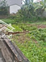 Bán Đất Mp Phú Xá, Tây Hồ, Hà Nội, Giá Siêu Hời 55 Tỷ, 220M2