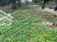 Chính Chủ Cần Tiền Lên Bán Gấp Lô Đất Tại Nam Phương Tiến Giá Đầu Tư