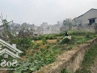 Chính Chủ Cần Tiền Lên Bán Gấp Lô Đất Tại Nam Phương Tiến Giá Đầu Tư