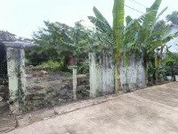 Bán Lô Đất Full Thổ Cư 290M Ngang 12M Xe Hơi Tới Cửa Ngay Lò Lu Trung Tâm Quận 9, Nhỉnh 10 Tỷ