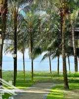 Cho Thuê Nhà Đất Mặt Tiền Đường Nguyễn Thiện Thuật Nha Trang