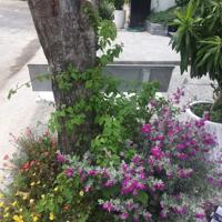 Bán tòa nhà đường 68 Thạnh Mỹ Lợi Quận 2 view công viên giá 62 tỷ