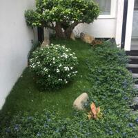 Bán tòa nhà đường 68 Thạnh Mỹ Lợi Quận 2 view công viên giá 62 tỷ