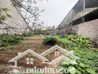 Bán Đất Trồng Cây Lâu Năm, Thôn Quán Khê Xã Dương Quang Gia Lâm. 173M2,Mặt Tiền14M Lô Góc Giá Bán 2,3 Tỷ