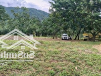 Đất Hoà Ninh, Hoà Vang Gần Lên Phường, Diện Tích 1120M2 Có 200M2 Đất Ở