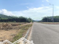 Cần Bán Lô Đất Trồng Cây Ln Siêu Đẹp Mặt Tiền Đường Nhựa Không Quy Hoạch View Suối