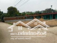 Mở Bảng Hàng 5 Lô Đất Mới Tại Đại Hoá, Tân Yên, Cách Khu Công Nghiệp Phúc Sơn 125Ha - 1,5Km