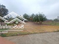 Chỉ 6 Triệu/M2 Có Ngay Lô Đất Nghỉ Dưỡng Gần Hồ Đại Lải, Đường Ô Tô Tránh