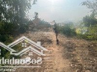 Bán Gấp 1 Mẫu Đất Bình Hoà Nam Ngộp Bank