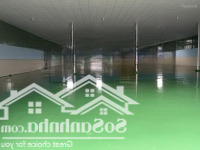 Kho Thuận An 800M2 Nền Epoxy, Trần Laphong. Đường Xe Cont. Điện 3 Pha, Phù Hợp Kho, Cửa Hàng