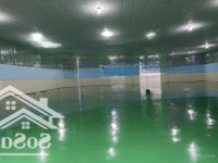 Kho Thuận An 800M2 Nền Epoxy, Trần Laphong. Đường Xe Cont. Điện 3 Pha, Phù Hợp Kho, Cửa Hàng