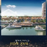 Bán Nhà Phố 3 Tầng Ngay Sông Hàn - Ngay 3 Bến Du Thuyền - Chiết Khấu 12.5% - Tặng 1 Cây Vàng