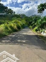 Bán Vườn Mít Thổ Cư, Có Nhà 1 Trệt 1 Lầu, Và 2 Mặt Tiền Đường Nhựa!