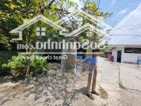 Bán Đất Mặt Tiền Đường Nguyễn Văn Quá 1Ha Giá 7 Triệu/M2