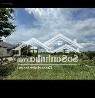 Bán Hơn 11 Công Đất Mặt Tiền Đường Tỉnh 919 ( Bốn Tổng - Một Nghàn ) Giá Bán 5.9 Tỷ