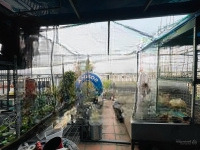 Bán Nhà Louis Đại Mỗ 105M2 5Tầng Mặt Tiền 6.5M Hơn 36 Tỷ Kd Ôtô Tránh Vỉa Hè Lhcc 0961318821
