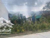 Bán Đất Tại Ninh Hiệp, Ninh Hòa, Khánh Hòa Chỉ Với 1,6 Tỷ, 206M2
