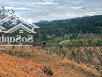 Phí Môi Giới 2% Chính Chủ Cần Bán Lô Đất Quy Hoạch Thổ Cư Cầu Đất Đà Lạt