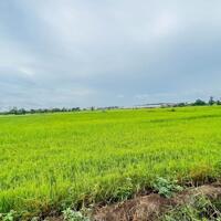 ĐẤT NGAY KHU CÔNG NGHIỆP ĐẤT ĐỎ - BRVT  Dt : 497.4m2 ( 11.6m x 33m ) sẵn 155m thổ cư Cách kcn Đất Đỏ chỉ 1km - Ra biển 6km  XÃ PHƯỚC LONG THỌ- LONG ĐẤT - BRVT Giá : 1tỷ45  Lh