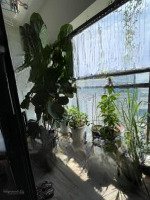 Căn Hộ Đẹp, Ở Được Ngay, 3 Ngủ Thiết Kế Hợp Lý