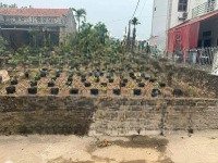 Chủ Nhà Cần Tiền Muốn Bán Nhanh