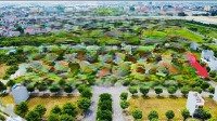 Bán Đất Nền Dự Án Phố Nối House, 4,5 Tỷ, 65M2, Mặt Tiền 5M, Ngõ 12M Ở Nghĩa Hiệp, Hưng Yên