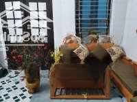 Cho Thuê Nhà 1N1K Ở Xã Đàn. Gần Khu Bách Kinh Xây, Chợ, Bệnh Viện