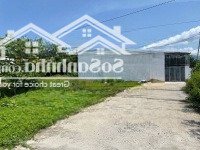 Bán Nhanh Lô Đất Phú Lộc Tây. Đất Thị Trấn Diên Khánh Diện Tích: 72M2 - Chiều Ngang 6M