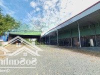 Cho Thuê Mặt Bằng Và Xưởng 6000M2 Phường Phước Tân, Biên Hòa, Giá 55 Triệu/Tháng. Liên Hệ: 0906694959