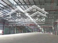 Nhà Xưởng Trống Cho Thuê 1000M2, 2000M2, 3000M2, 3Hecta Kcn Quế Võ 1,2,3 Bắc Ninh Epe, Fdi, Pccc