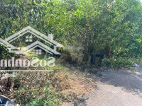 Bán 9,4 Xào Đất Thuộc Huyện Xuyên Mộc - Bà Rịa Vũng Tàu Chỉ 3 Tỷ 900 Triệu. Cách Tỉnh Lộ Chỉ 500 Mét