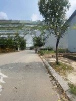 Bán 3 Lô Đất Đấu Giá Mặt Đường 24M Trịnh Văn Bô Giá Đầu Tư