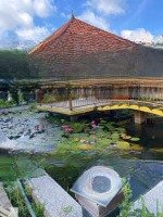 Bán Biệt Thự Sân Vườn Hồ Cá Koi Vị Trí Đẹp Tại Tóc Tiên, Tp Cảng Phú Mỹ , Giá Tl