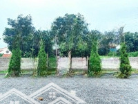 Cần Bán 528M Thổ Cư 150M Bám Mặt Đường Liên Xã Hoà Sơn Lương Sơn Hoà Bình Mặt Đường Đi Chương Mỹ Hn