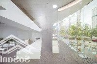 Cho Thuê Mặt Bằng Trung Tâm Cầu Giấy Giá Rẻ Thiết Kế Đẹp Phù Hợp Kinh Doanh Hoặc Làm Văn Phòng